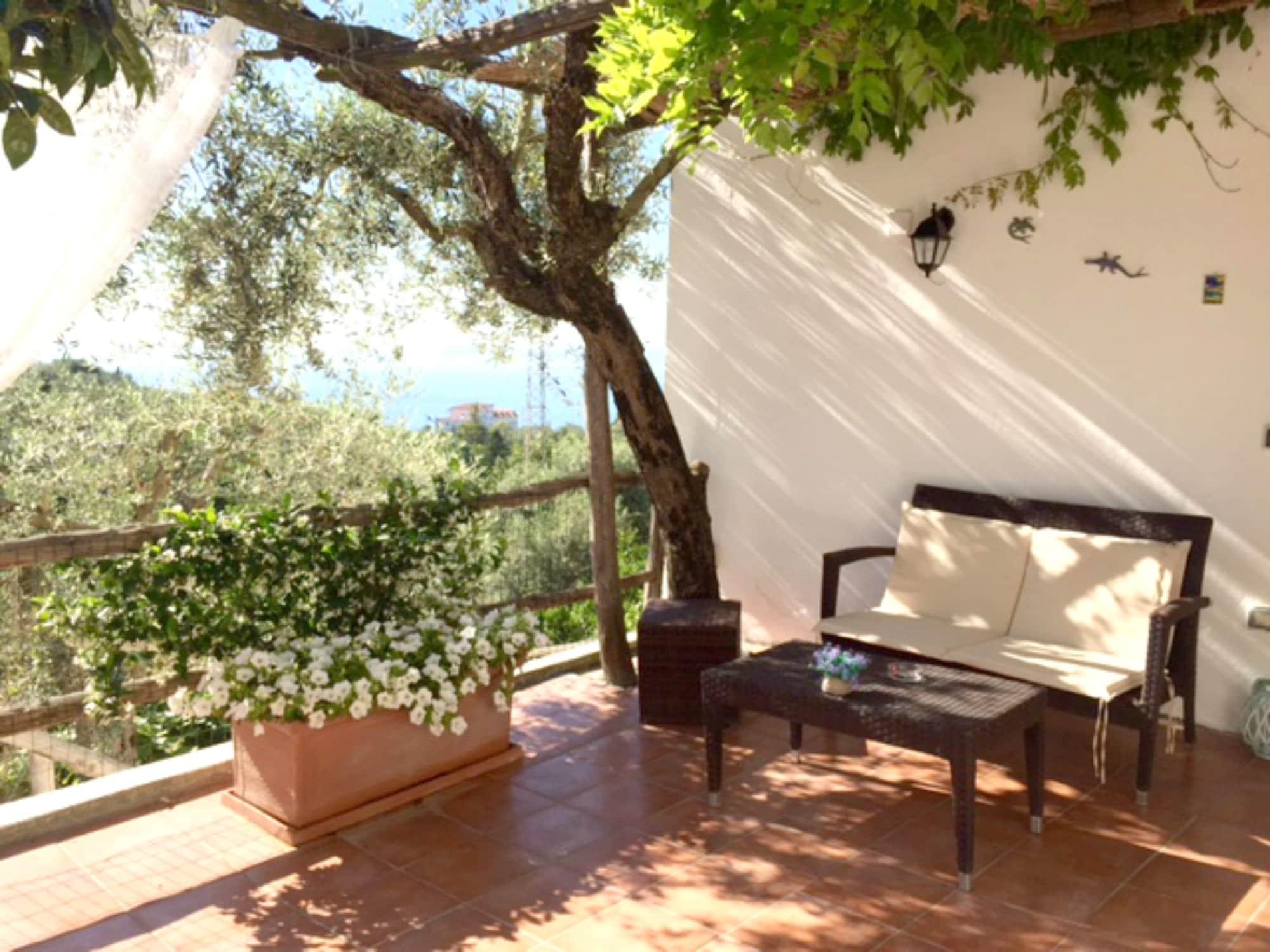 Villa Carolina Sorrento Private Heated Pool And Sea View Zewnętrze zdjęcie